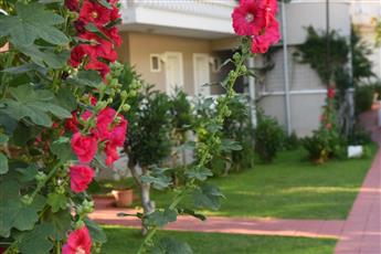 Turquoise Hotel Oludeniz