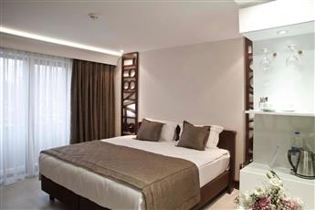 Victory Hotel & Spa Istanbul 4*