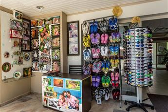 Viking Express Hotel 4*