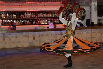 Viking Express Hotel 4*