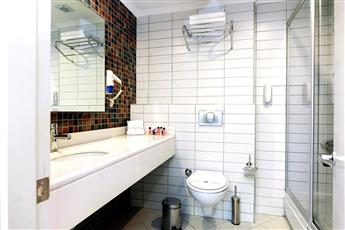 Viking Express Hotel 4*