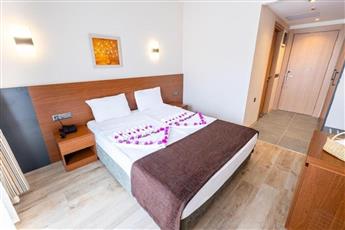 Viking Express Hotel 4*