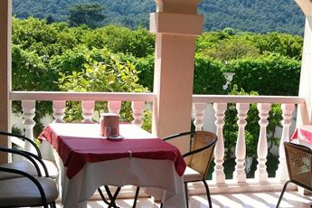 Viking Garden Hotel 4*