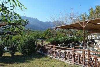 Viking Garden Hotel