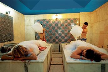 Viking Garden Hotel