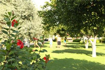 Viking Garden Hotel