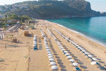 Villa Sunflower Hotel 4*