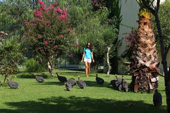 Vonresort Golden Beach 5*