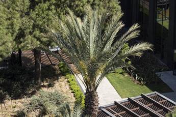 Voyage Belek Golf & Spa 5* Voyage Belek Golf & Spa 5*