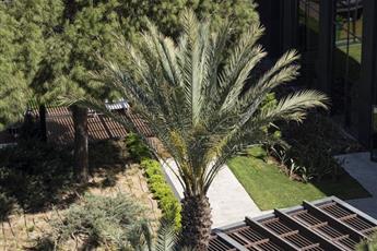 Voyage Belek Golf & Spa