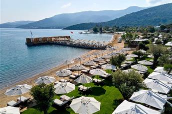 Voyage Torba