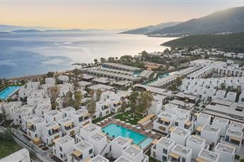 Voyage Torba