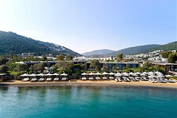 Voyage Torba