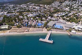 Voyage Torba