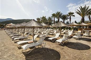Voyage Torba