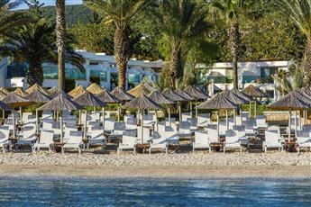Voyage Torba