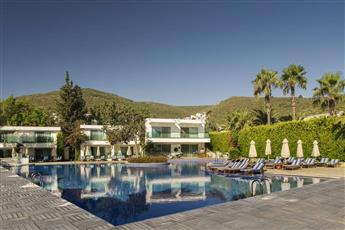 Voyage Torba