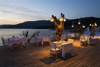 Voyage Torba