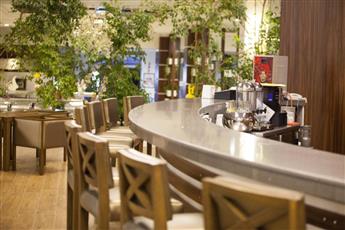 Washington Resort Hotel & Spa 5*