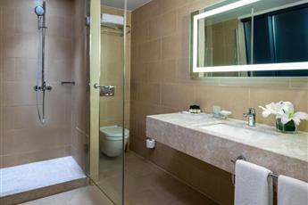 Windsor Hotel & Convention Center Istanbul 5*