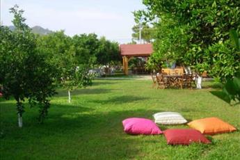 Woodline Hotel