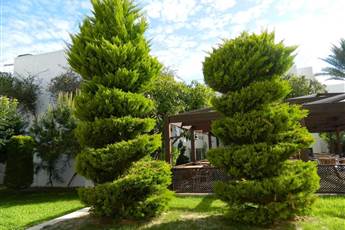 Yelken Mandalinci SPA & Wellness Hotel 4*