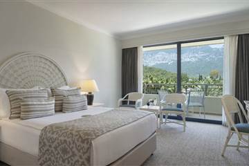 STANDART ROOM MOUNTAIN VIEW