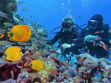 Extra Diving
