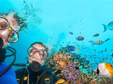 SNORKELING RAS MOHAMED BOAT - SSH 