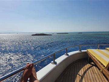 Sea Trip -Alamein-