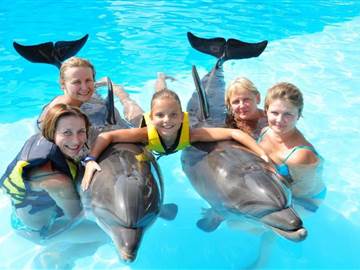 Swim with dolphins