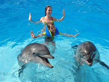 SWIMMING WITH DOLPHIN 15 MIN - SSH 