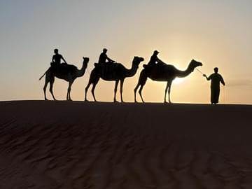 Camel riding & stargazing - Scorpion Safari