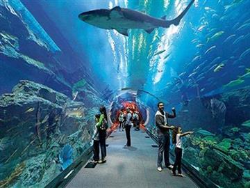 Aquarium Hurghada