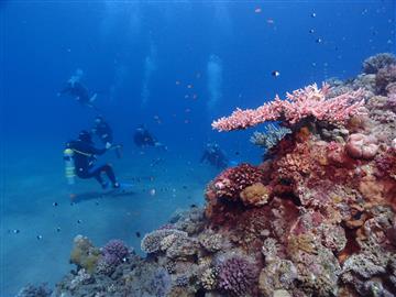 Orange Bay Sea Trip With Diving Hurghada