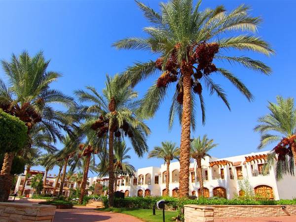 Coral Hills Resort Sharm El Sheikh 3* Coral Hills Resort Sharm El Sheikh 3*