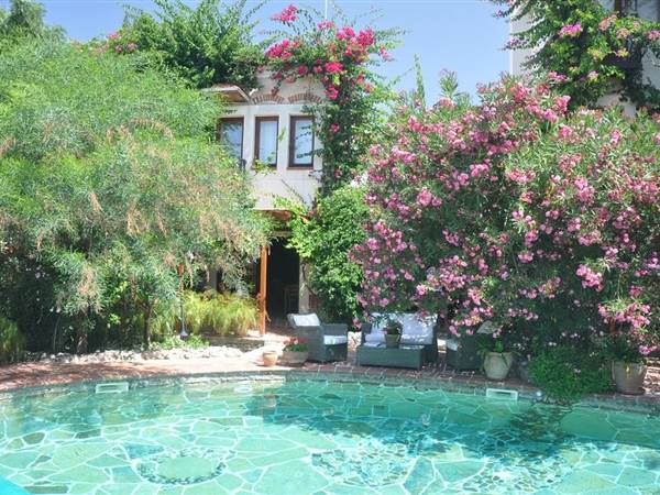 El Vino Hotel & Suites 4* El Vino Hotel & Suites 4*