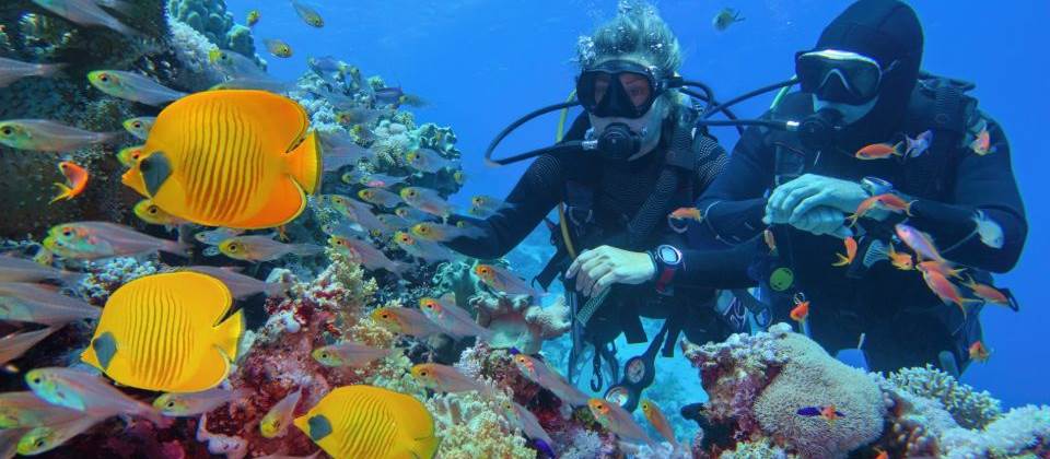 Ras Mohamed Snorkeling Sea trip Ras Mohamed Snorkeling Sea trip