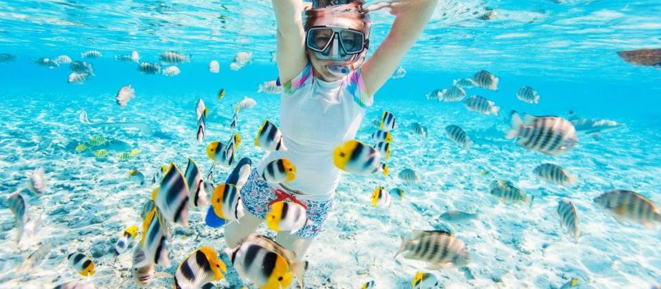 Ras Mohamed Snorkeling Sea trip Ras Mohamed Snorkeling Sea trip