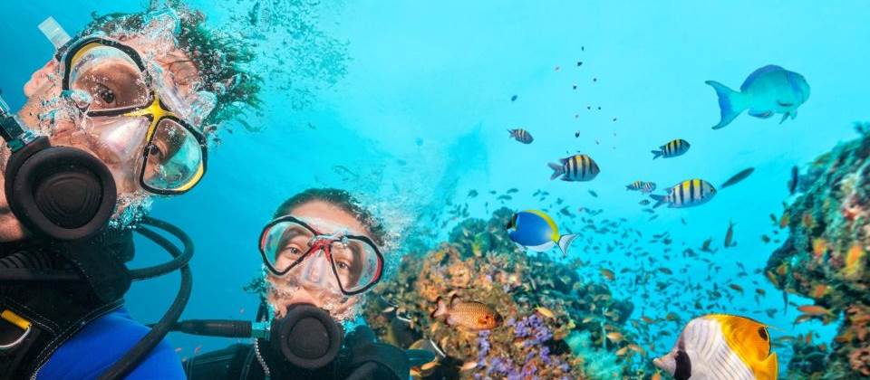 Ras Mohamed Snorkeling Sea trip Ras Mohamed Snorkeling Sea trip