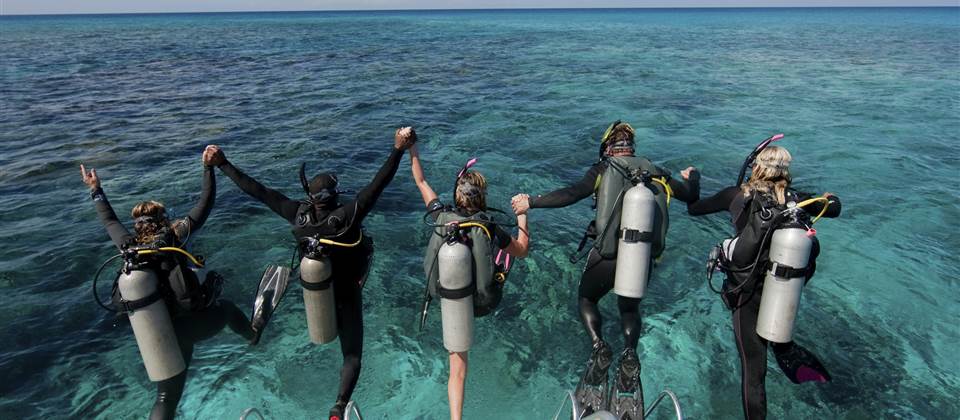 Ras Mohamed Snorkeling Sea trip Ras Mohamed Snorkeling Sea trip