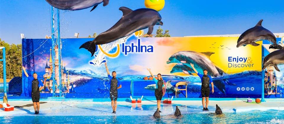 Dolphin Show - HRG