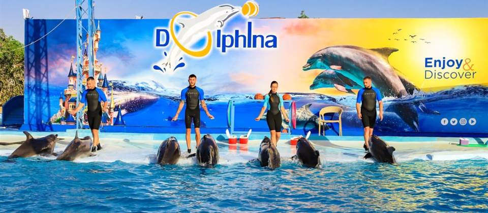 Dolphin Show - HRG