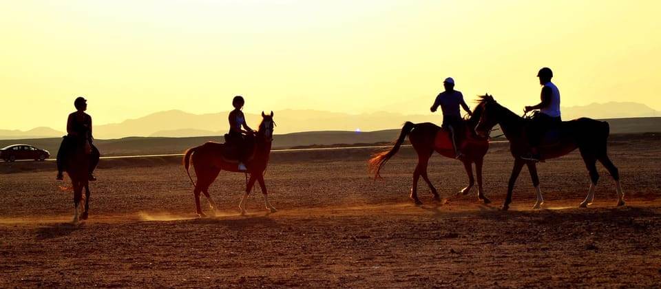 Majestic Horse Riding - HRG