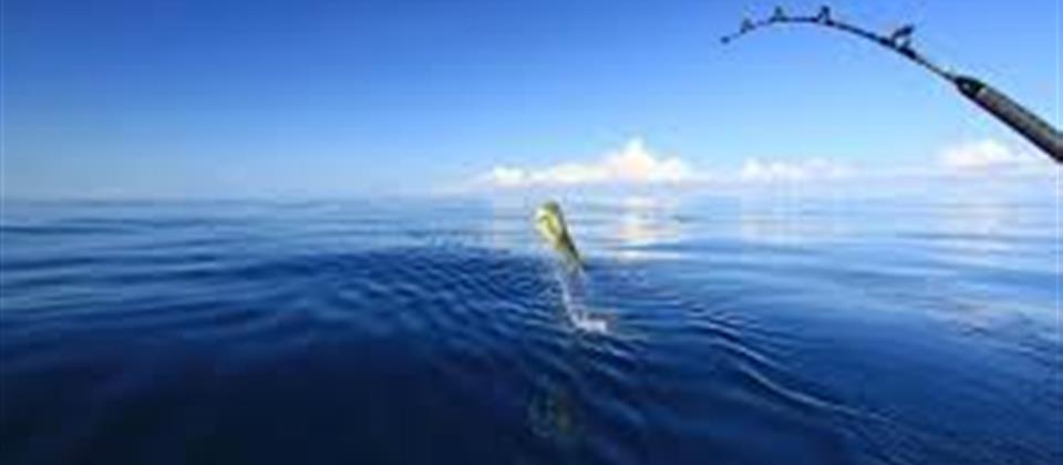 Deep Sea Fishing - Alamein