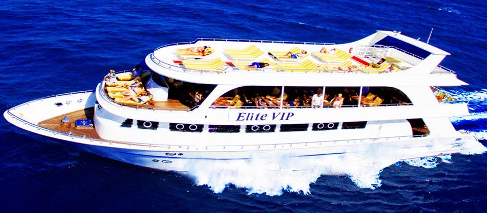 Elite VIP Cruise 