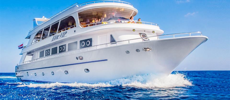 Elite VIP Cruise 