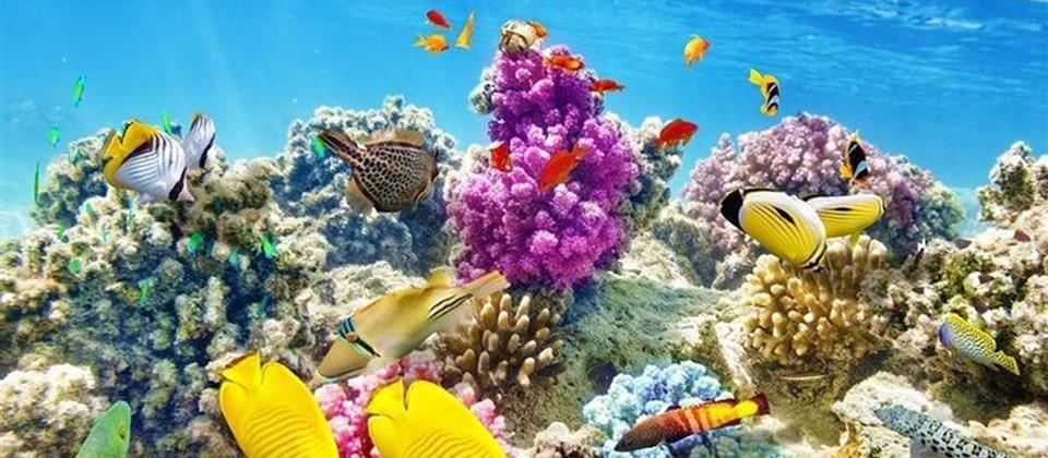 Aquarium Hurghada