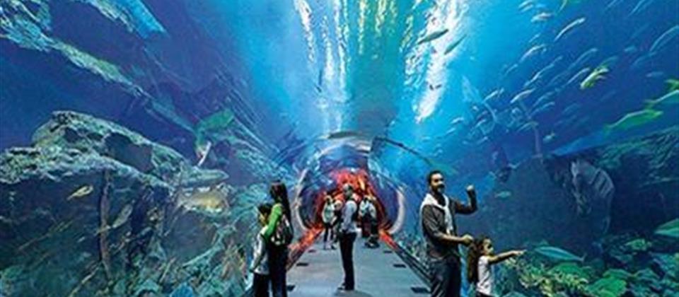 Aquarium Hurghada