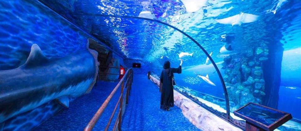 Aquarium Hurghada
